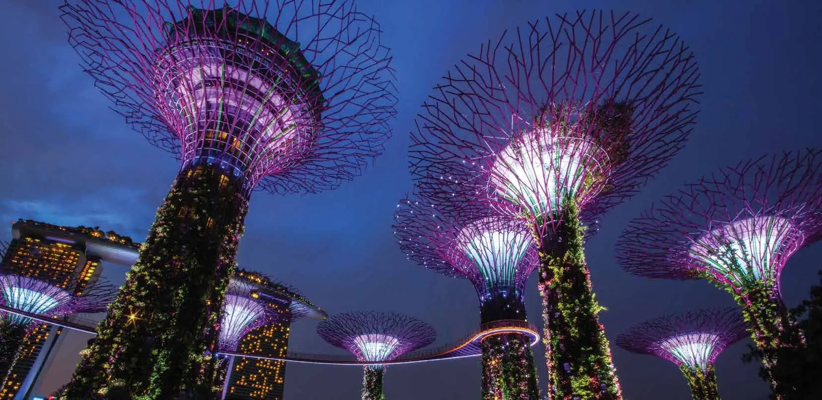 Gardens by the Bay Supertree Grove, adjacent to the One Marina Gardens site